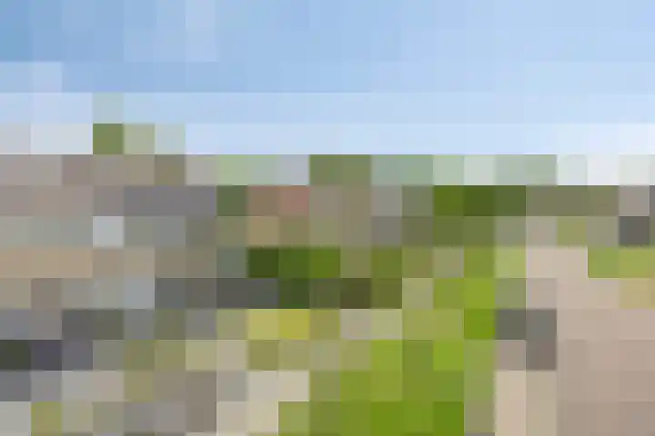 Klaverkamp 41 Tytsjerk thumbnail 43