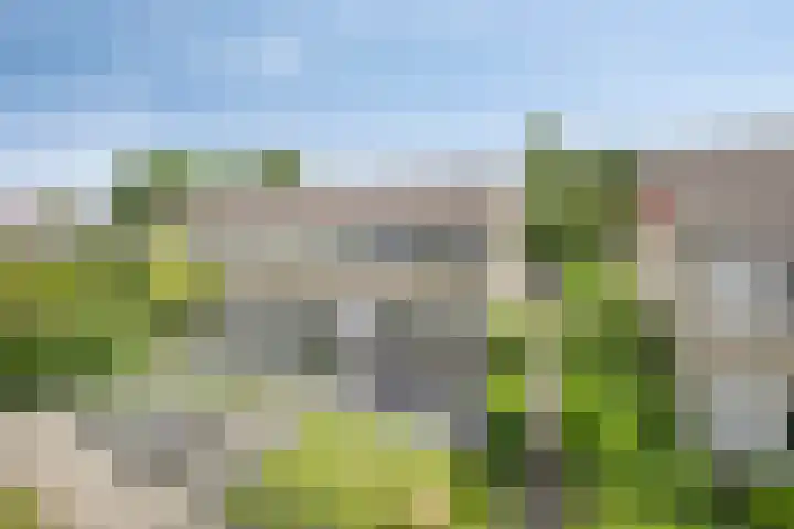 Klaverkamp 41 Tytsjerk thumbnail 44