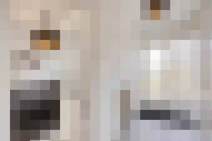 Klaverkamp 41 Tytsjerk thumbnail 7