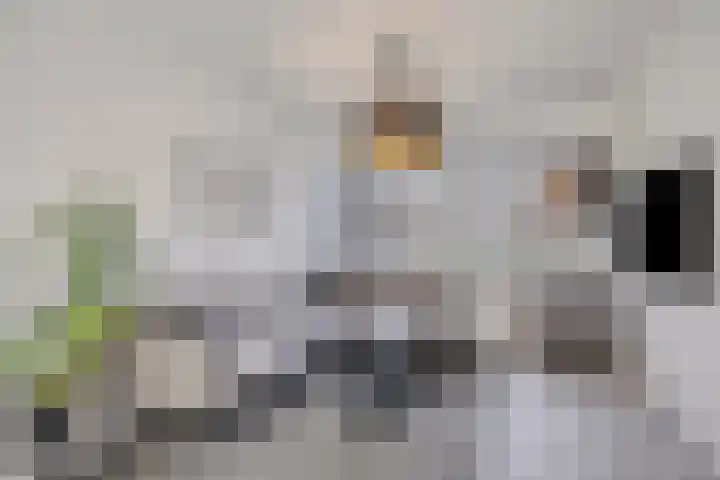 Klaverkamp 41 Tytsjerk thumbnail 8