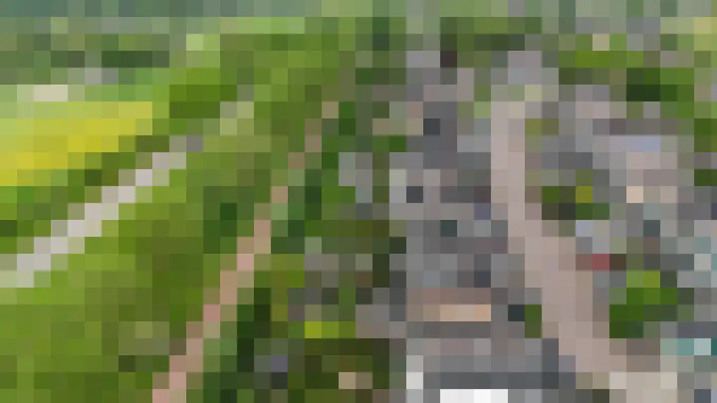 Klaverkamp 61 Vianen thumbnail 27