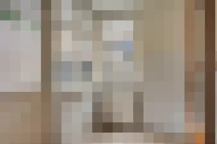 Klaverkamp 72 Epe thumbnail 11