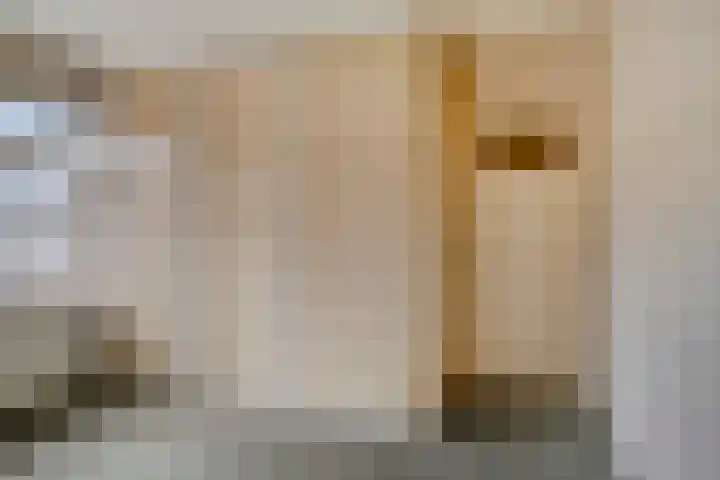 Klaverkamp 72 Epe thumbnail 16