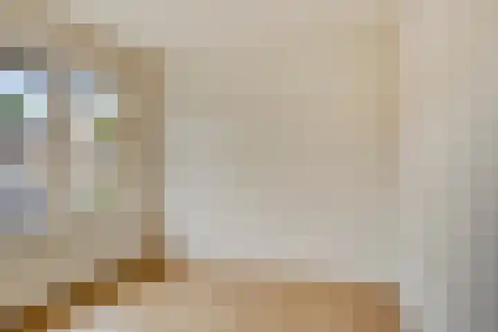Klaverkamp 72 Epe thumbnail 19
