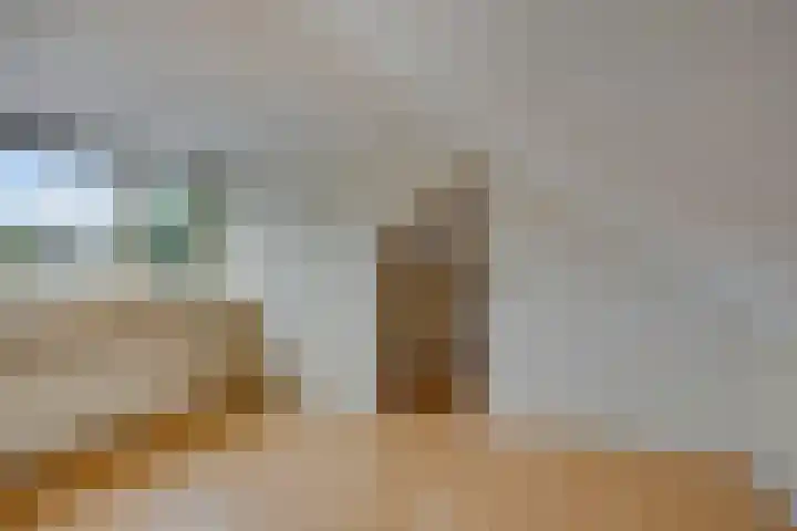 Klaverkamp 72 Epe thumbnail 23