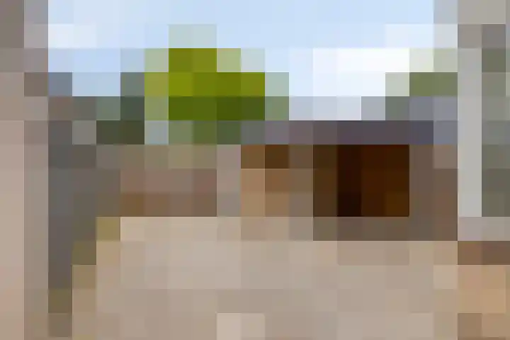 Klaverkamp 72 Epe thumbnail 24