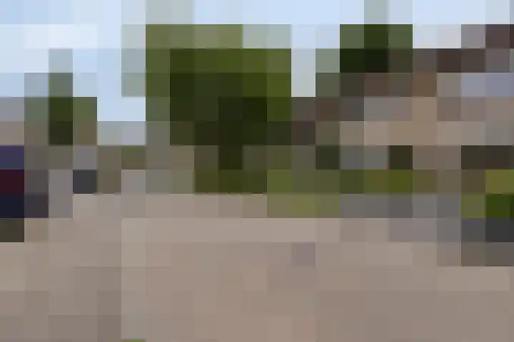 Klaverkamp 72 Epe thumbnail 27