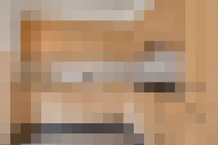 Klaverkamp 72 Epe thumbnail 9