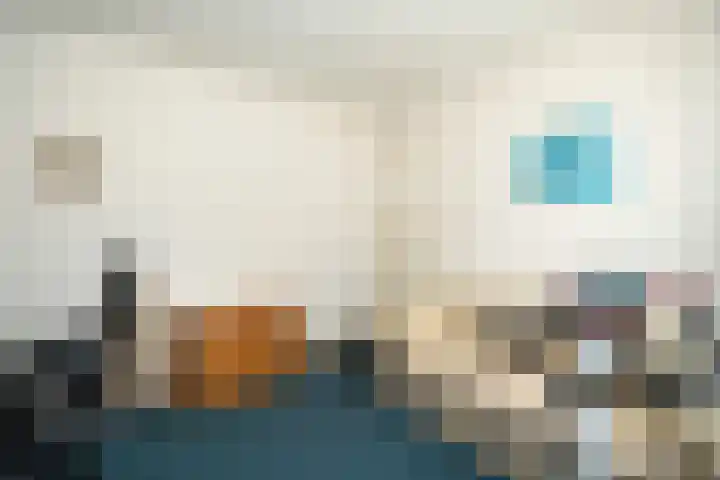 Klaverkamp 79 Epe thumbnail 10