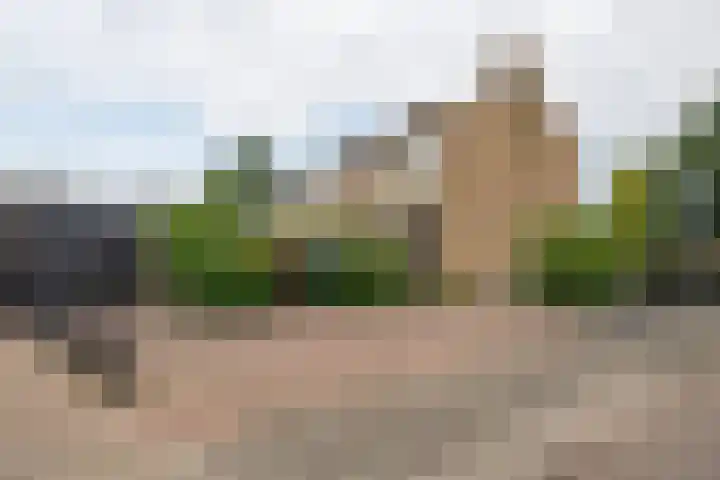 Klaverkamp 79 Epe thumbnail 19