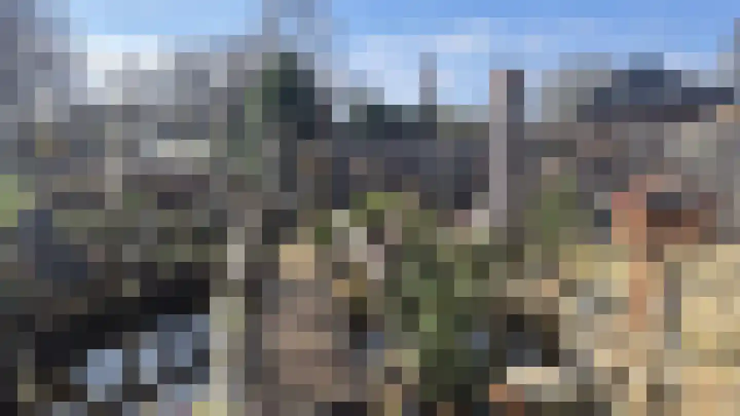 Klaverkamp 79 Hoogeveen thumbnail 38