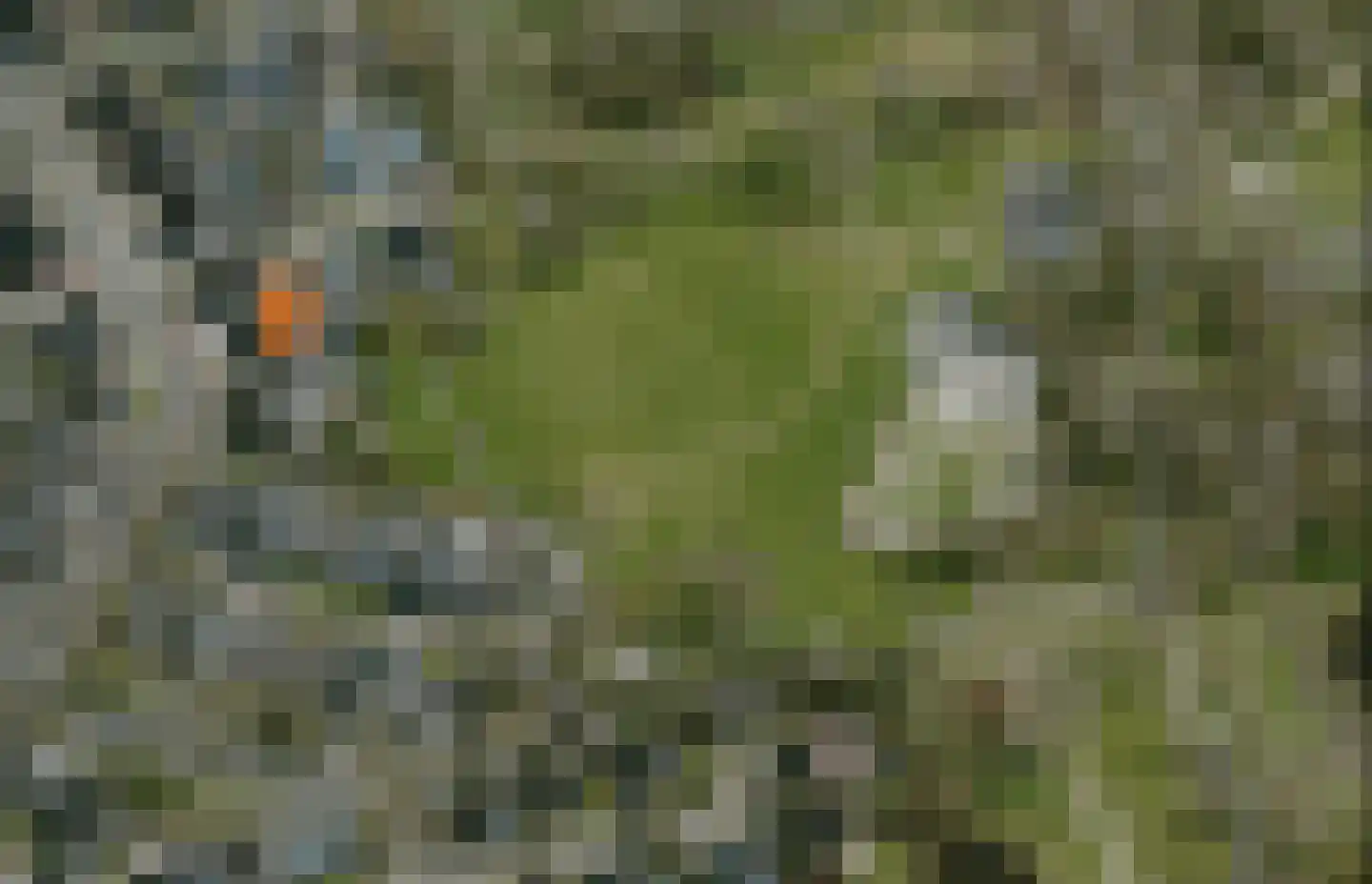 Klaverkamp 79 Hoogeveen thumbnail 44