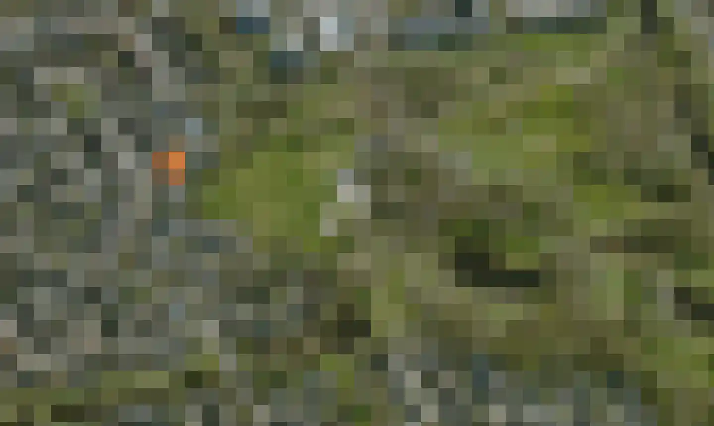 Klaverkamp 79 Hoogeveen thumbnail 45