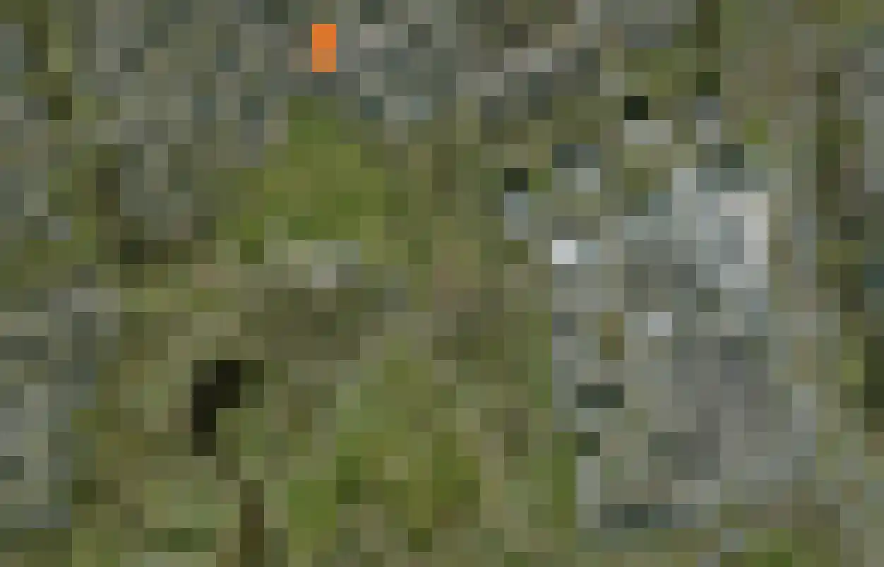 Klaverkamp 79 Hoogeveen thumbnail 46