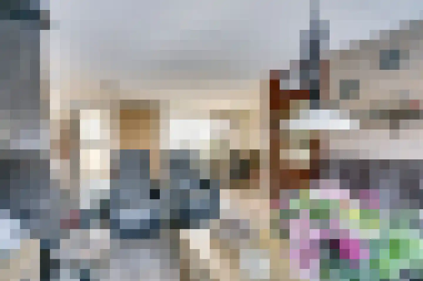 Klaverkamp 79 Hoogeveen thumbnail 8