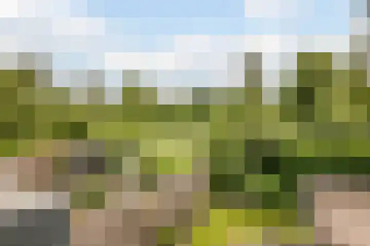 Klaverkamp 81 Hoogeveen thumbnail 41