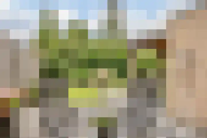 Klaverkamp 81 Hoogeveen thumbnail 42