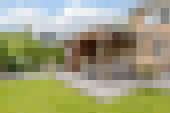 Klaverkamp 81 Hoogeveen thumbnail 44