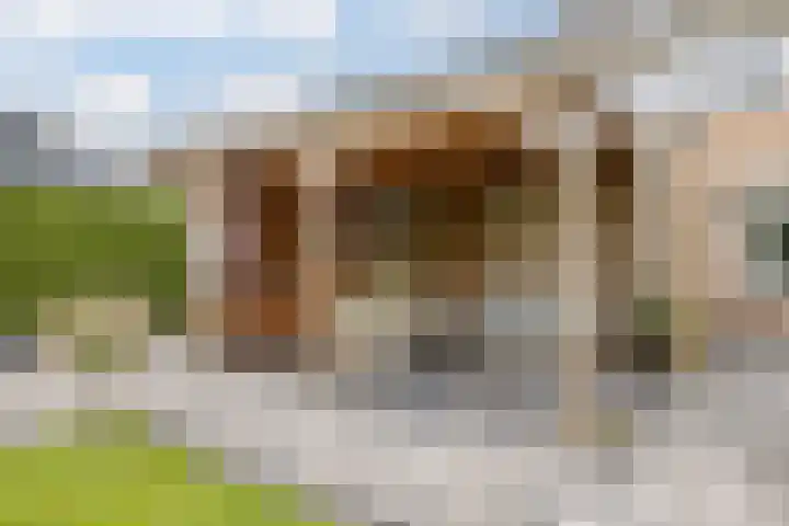 Klaverkamp 81 Hoogeveen thumbnail 46
