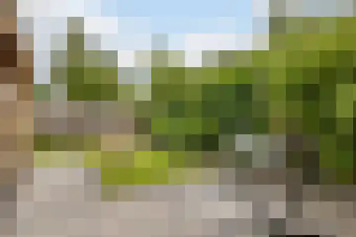Klaverkamp 81 Hoogeveen thumbnail 47