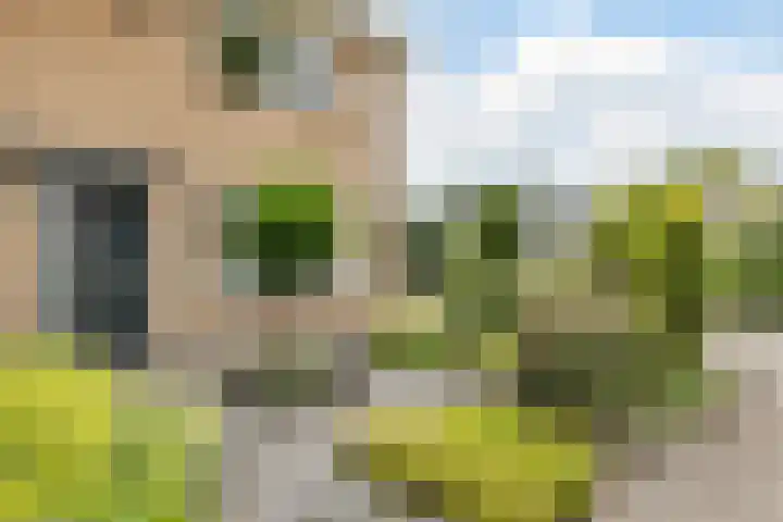 Klaverkamp 81 Hoogeveen thumbnail 48