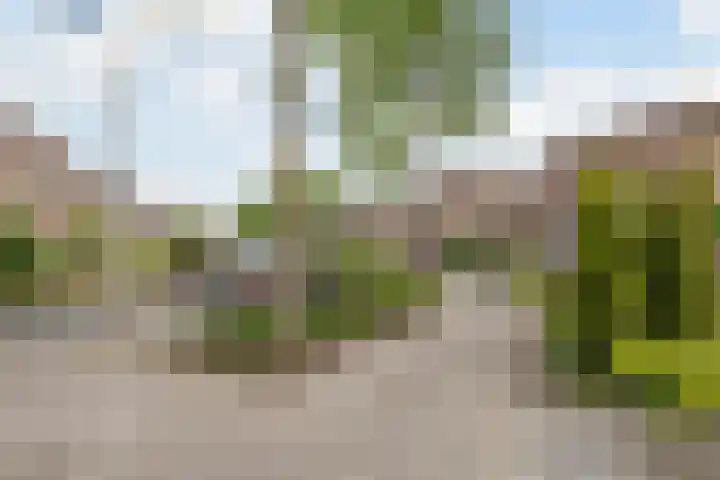 Klaverkamp 81 Hoogeveen thumbnail 51