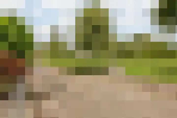 Klaverkamp 81 Hoogeveen thumbnail 54
