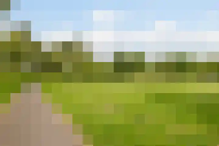 Klaverkamp 81 Hoogeveen thumbnail 55