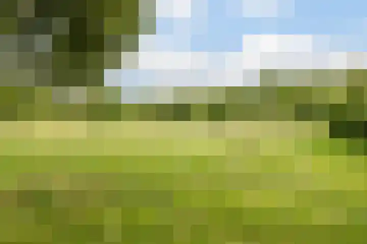 Klaverkamp 81 Hoogeveen thumbnail 56