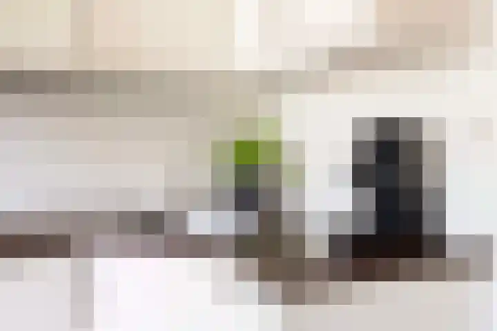 Klaverkamp 92 Epe thumbnail 10