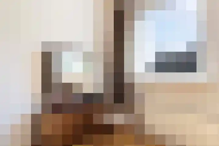 Klaverkamp 92 Epe thumbnail 16