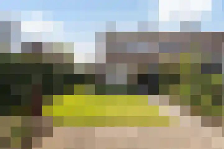 Klaverkamp 92 Epe thumbnail 22