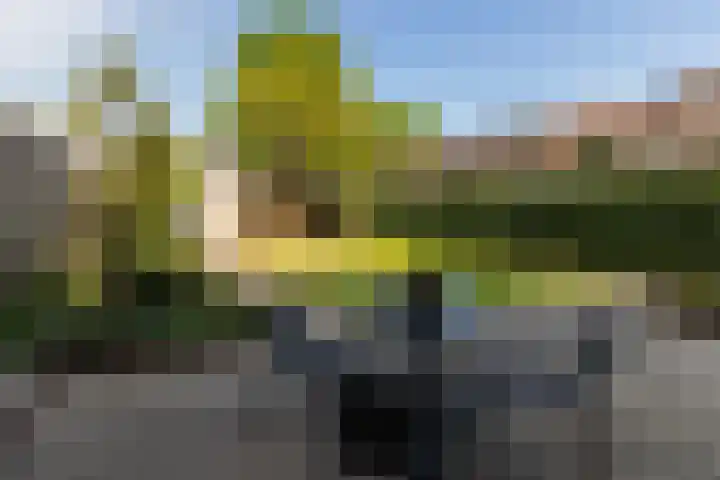 Klaverkamp 92 Epe thumbnail 23