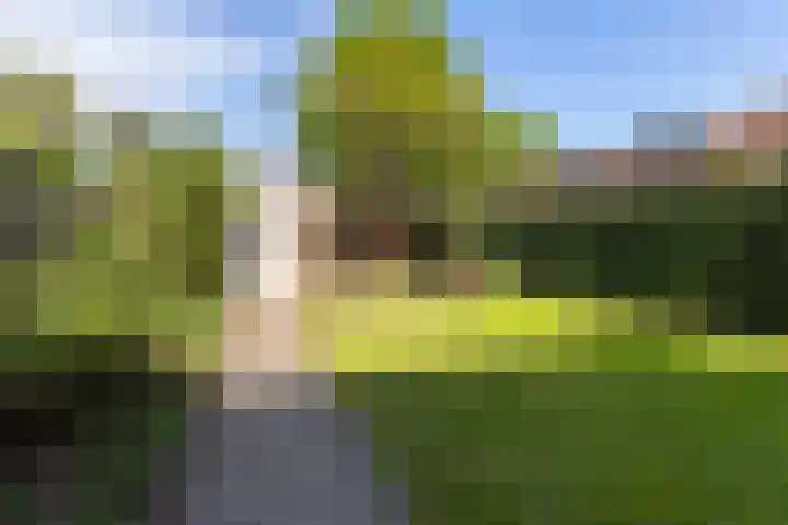 Klaverkamp 92 Epe thumbnail 24