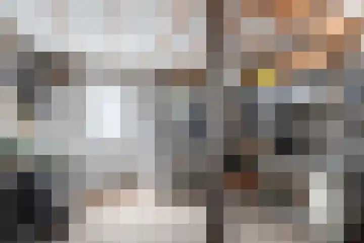 Klaverkamp 92 Epe thumbnail 27
