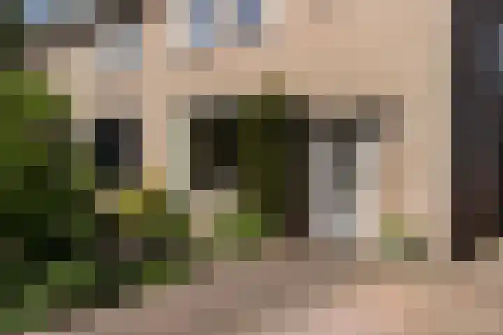 Klaverkamp 92 Epe thumbnail 28