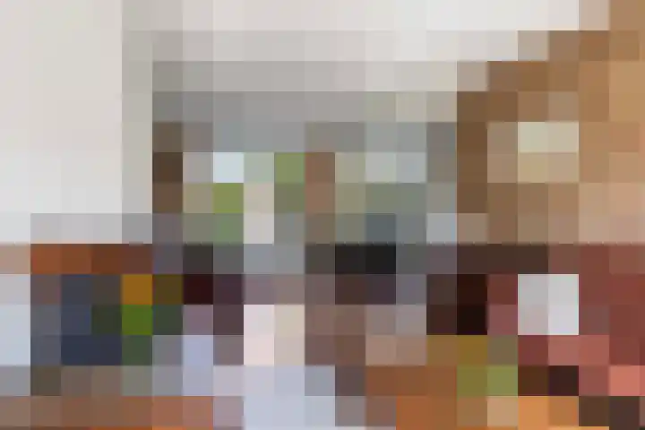 Klaverkamp 92 Epe thumbnail 5