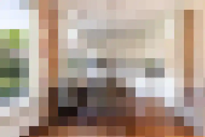 Klaverkamp 92 Epe thumbnail 8