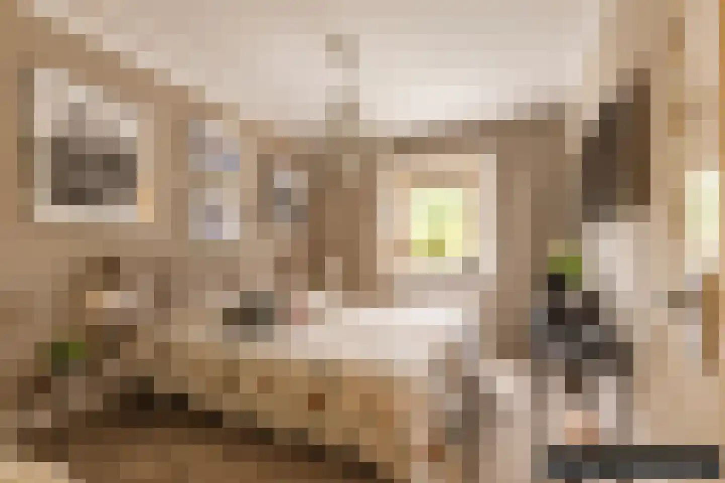 Klaverlaan 12 Arnhem thumbnail 28