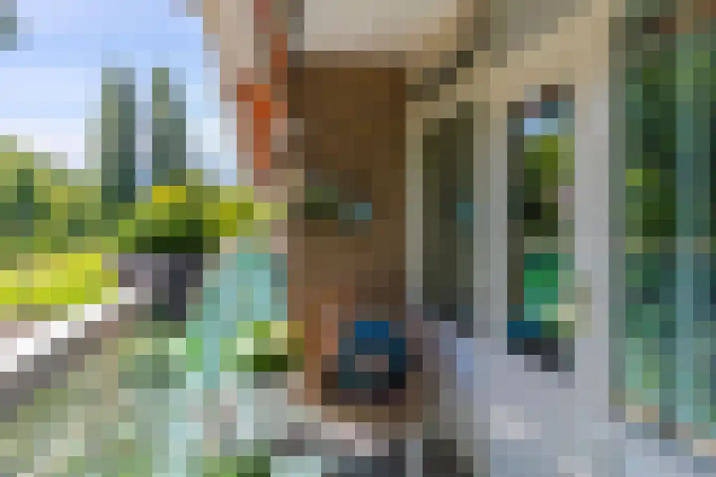 Klaverlaan 12 Arnhem thumbnail 29