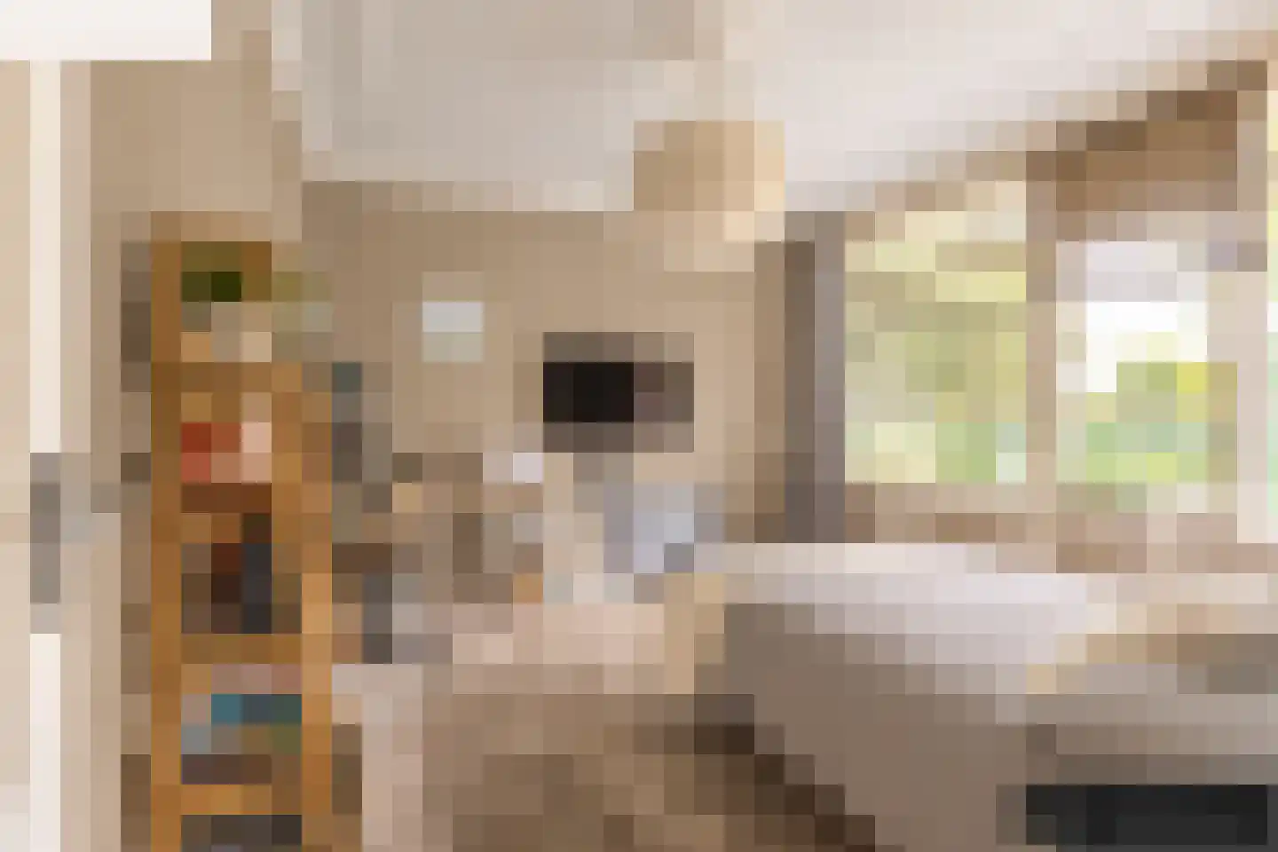 Klaverlaan 12 Arnhem thumbnail 32