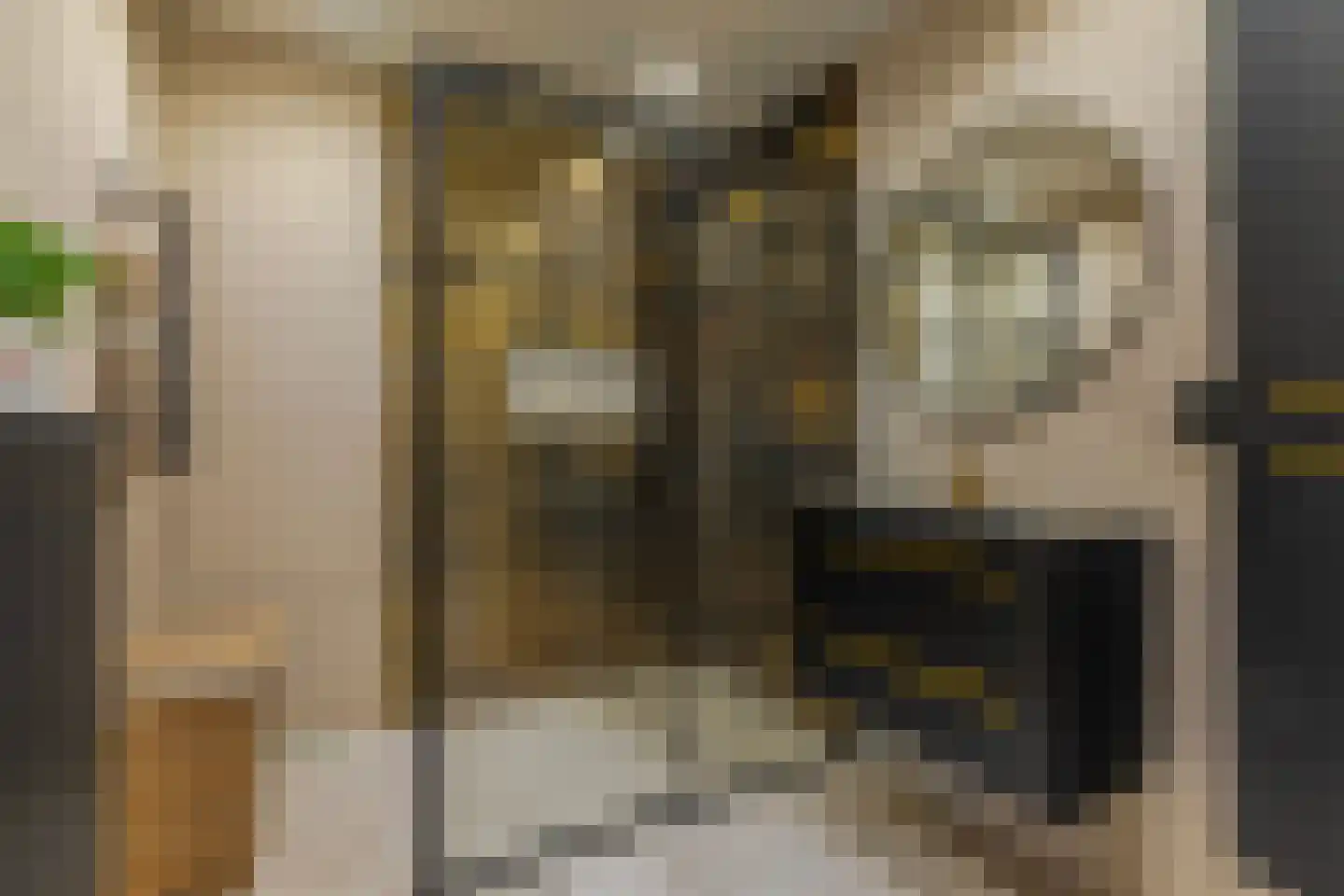 Klaverlaan 12 Arnhem thumbnail 4
