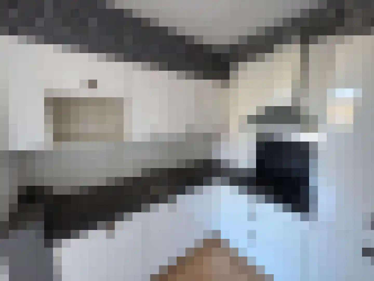 Klaverlaan 16 Arnhem thumbnail 6