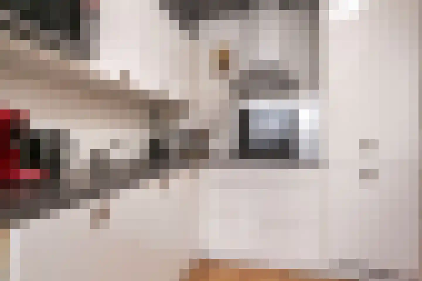 Klaverlaan 16 Arnhem thumbnail 6