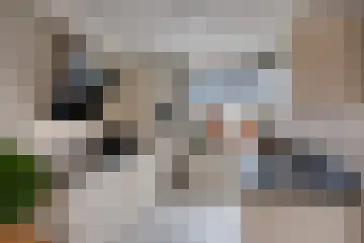 Klaverlaan 30 Ermelo thumbnail 16