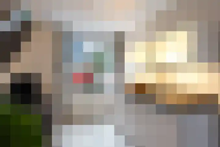 Klaverlaan 30 Ermelo thumbnail 20