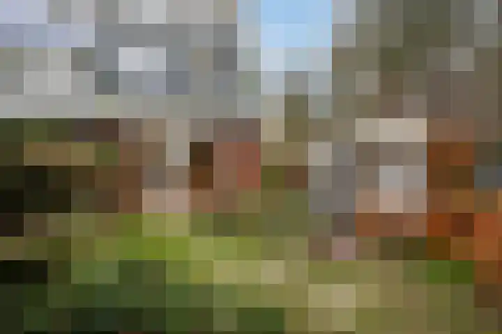 Klaverlaan 30 Ermelo thumbnail 41