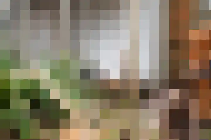 Klaverlaan 30 Ermelo thumbnail 42