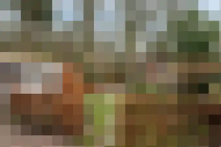 Klaverlaan 30 Ermelo thumbnail 43