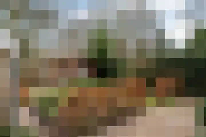 Klaverlaan 30 Ermelo thumbnail 44